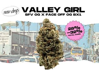 Valley Girl Legacy