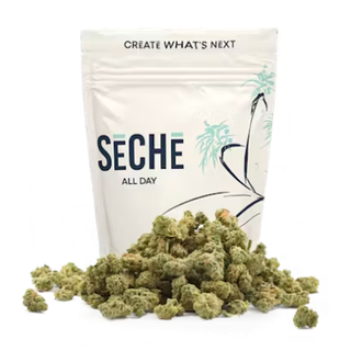 Green Diesel SeCHe