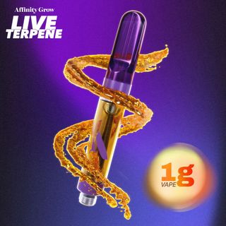 Garlic Icing Live Terpene Affinity
