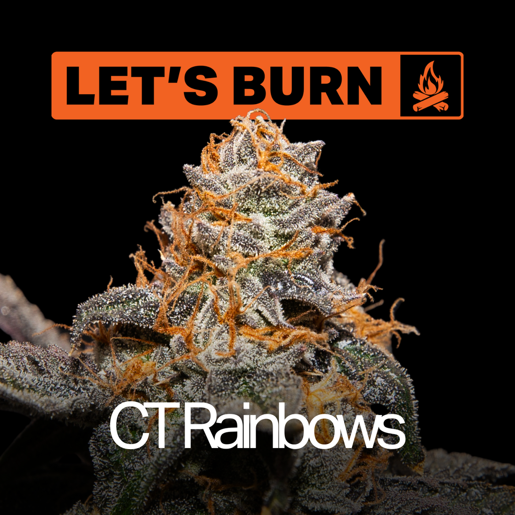 CT Rainbows