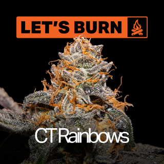 CT Rainbows Let's Burn
