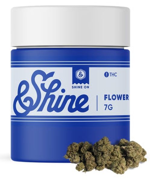 Gellie Gas Pre-Pack &Shine