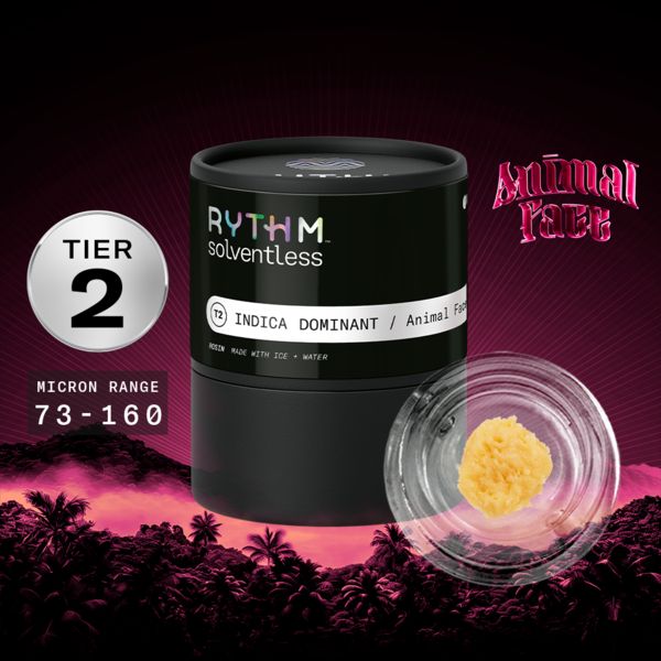 EverCrisp Live Rosin Rythm