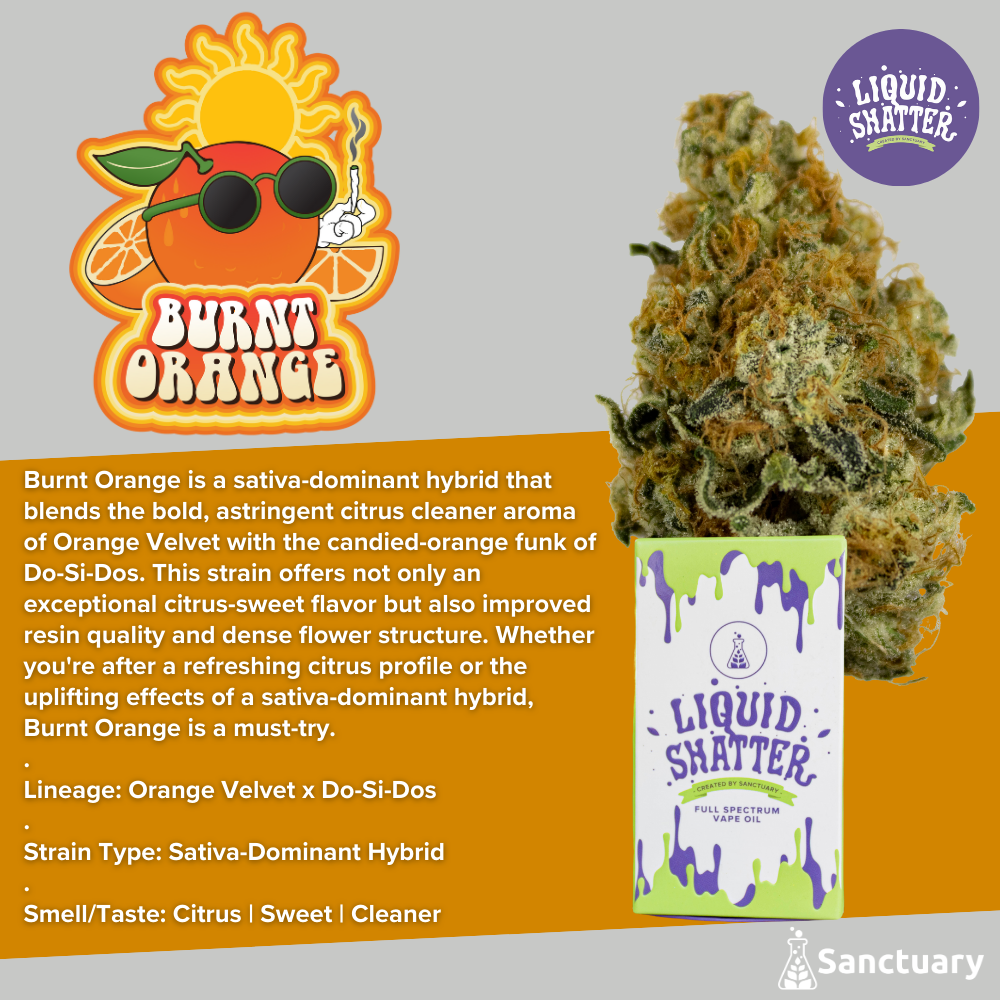 Buy Burnt Orange 1g Full-Spectrum Cartridge online - Sanctuary Danvers |  Danvers | Massachusetts