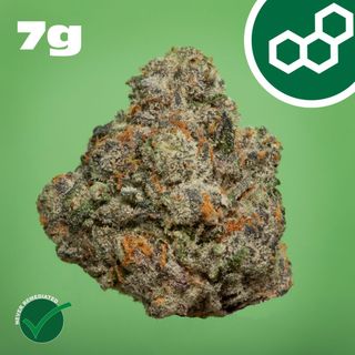 Gas Face Theraplant