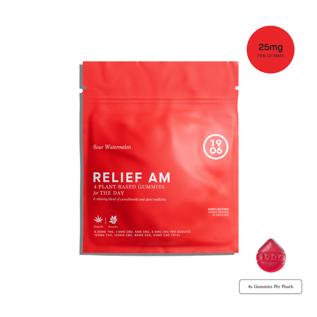Relief AM 1906