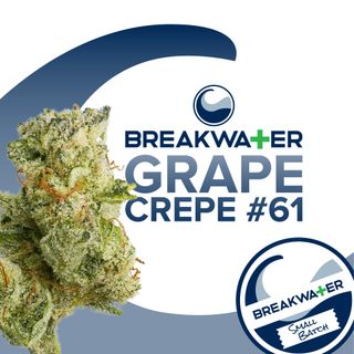2/$109 8ths! Cannabis Promo, Cannabis Sales, Cannabis Discounts, Cannabis on Sale, 2/$109 8ths! 3