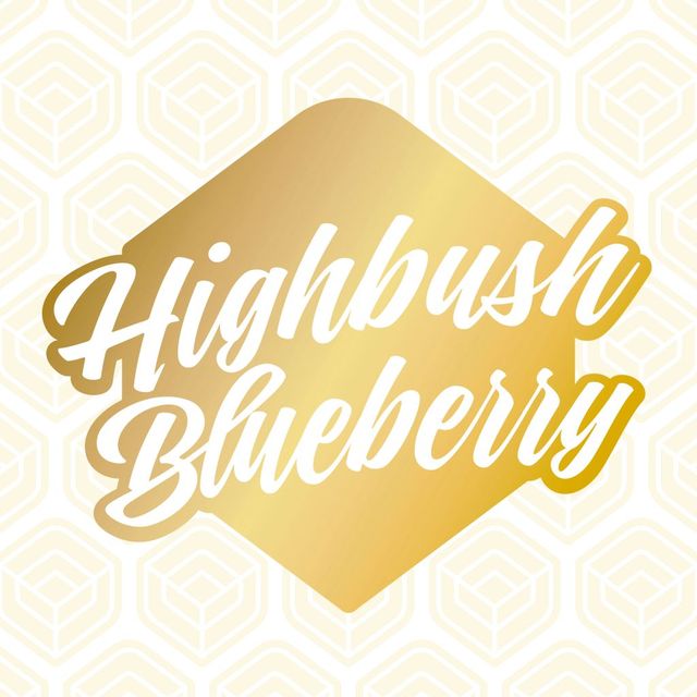 Highbush Blueberry Jersey Smooth