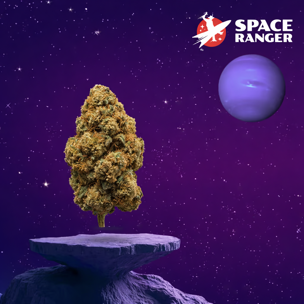 Peach Stardust X Animal Mints Plasma Pack