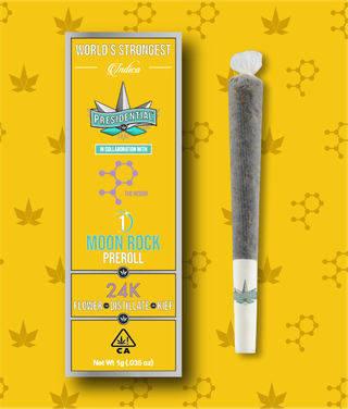 24K Moon Rock Presidential