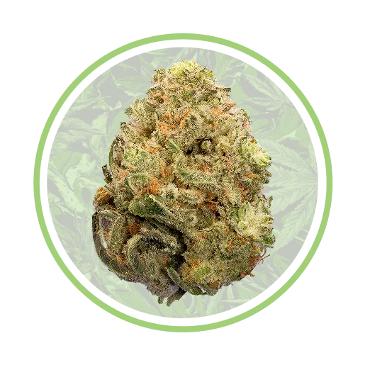 Dark Heart | Titan Express Grassroots