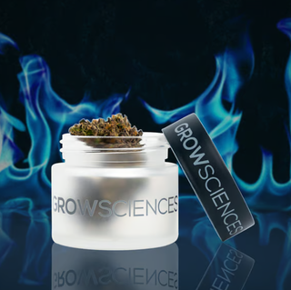 Pineapple Fruz Grow Sciences