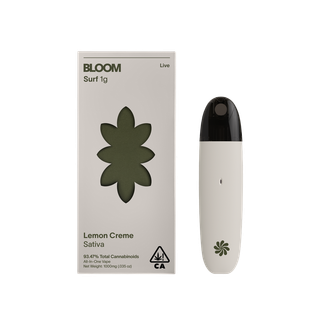Surf Lemon Creme Bloom
