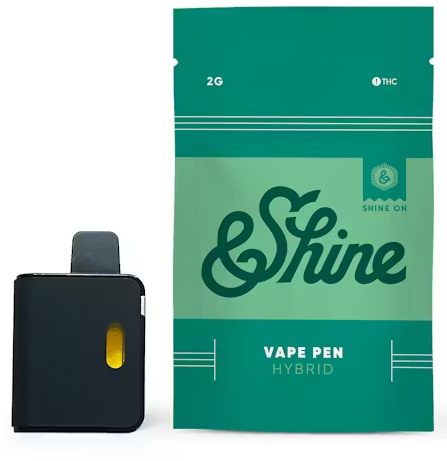 Apple Fritter  &Shine