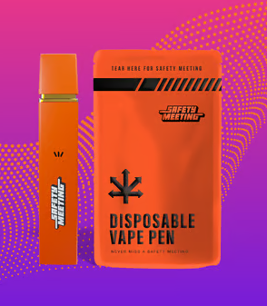 LSD LIve Terps Safety Meeting