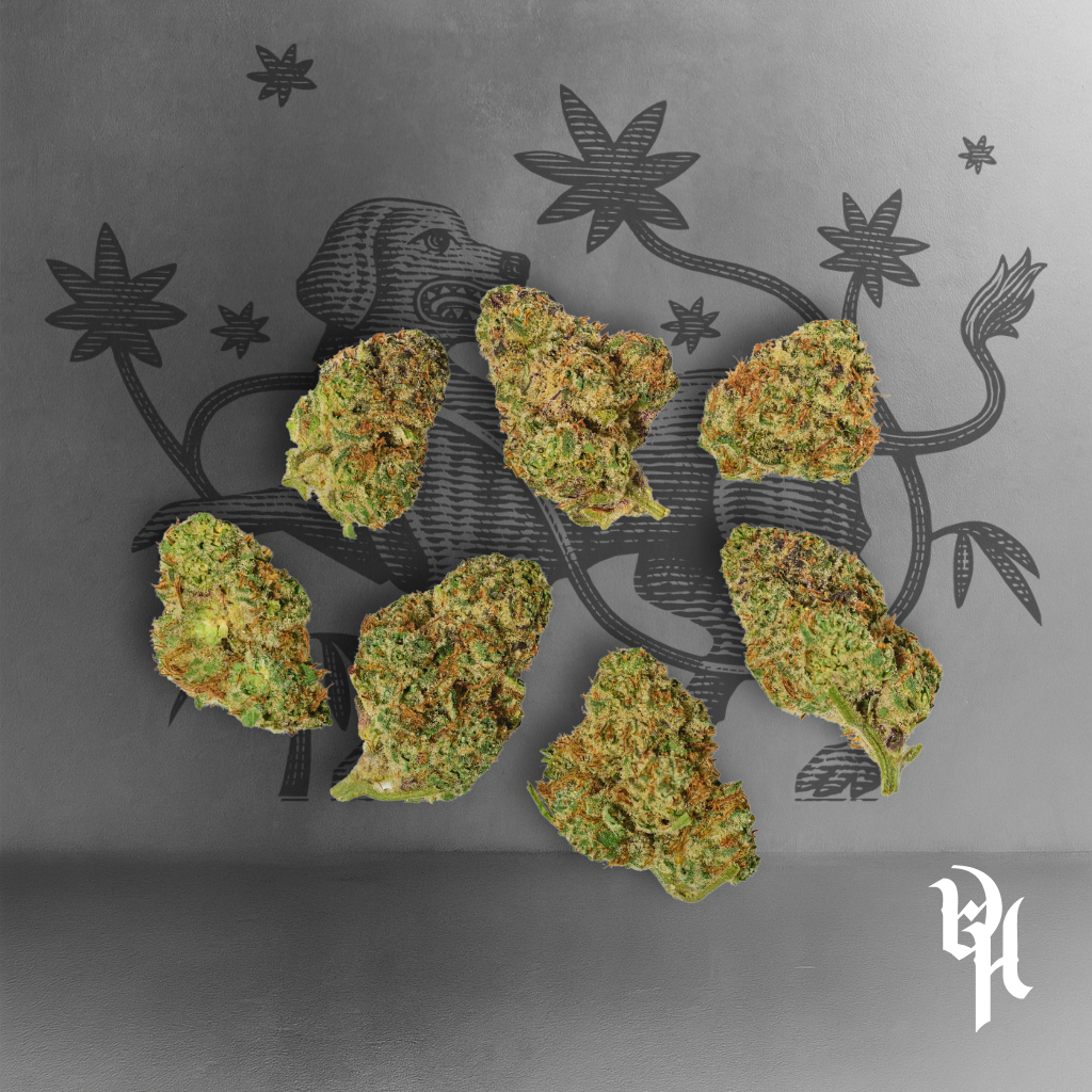 Piggy Bank