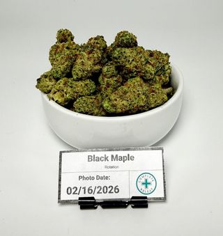 Black Maple Rotation