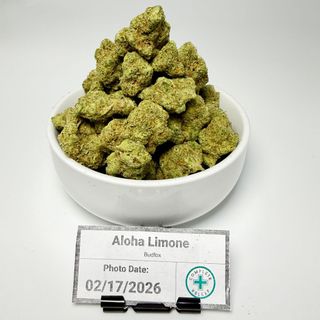 Aloha Limone Bud Fox