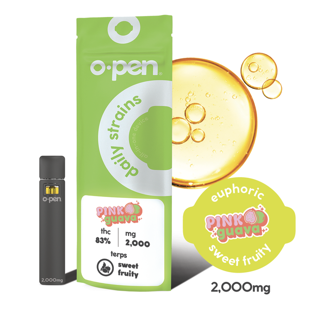 2G AIO Sleepy - Northern Lights O.Pen