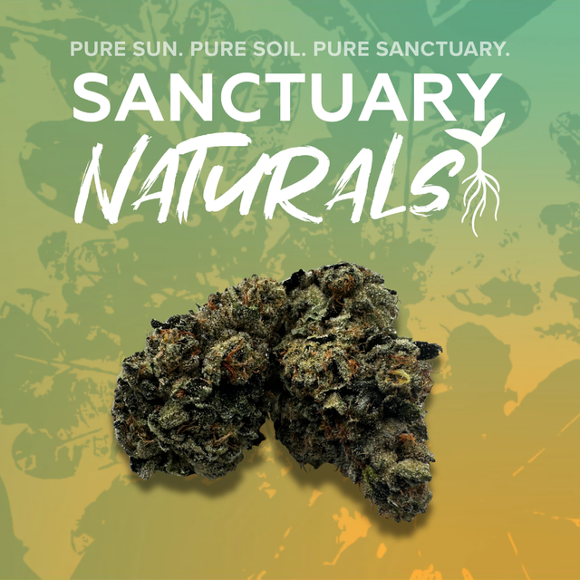 Alien Rock Sour Sanctuary Cannabis
