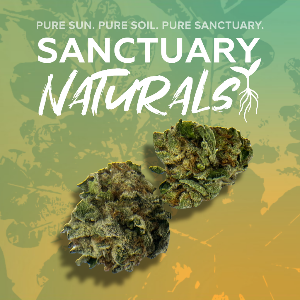 Sanctuary Naturals 3.5g Billy Dazzler