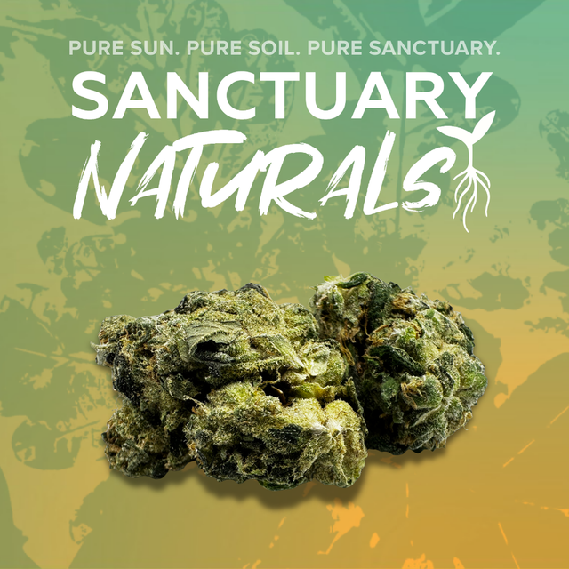 Chem91 Sanctuary Cannabis