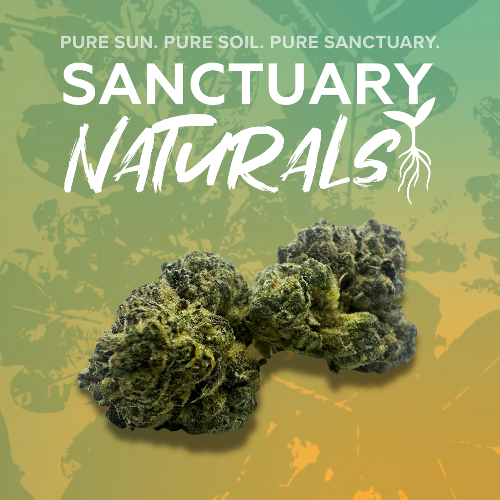 Sanctuary Naturals 3.5g Dolato 41