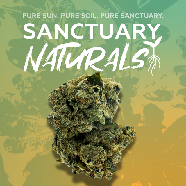 Frosted Jungle, as Sanctuary's menu shows it