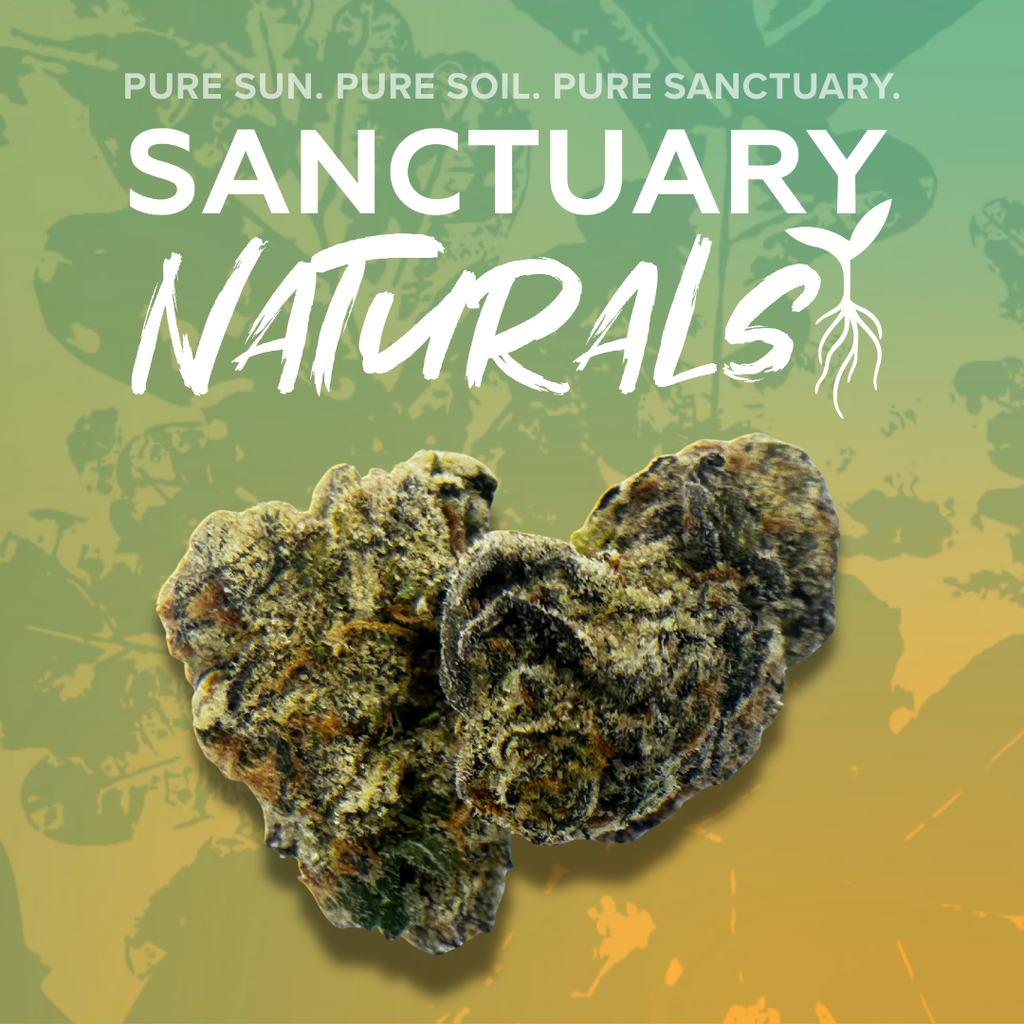 Sanctuary Naturals 3.5g Gastro Pop