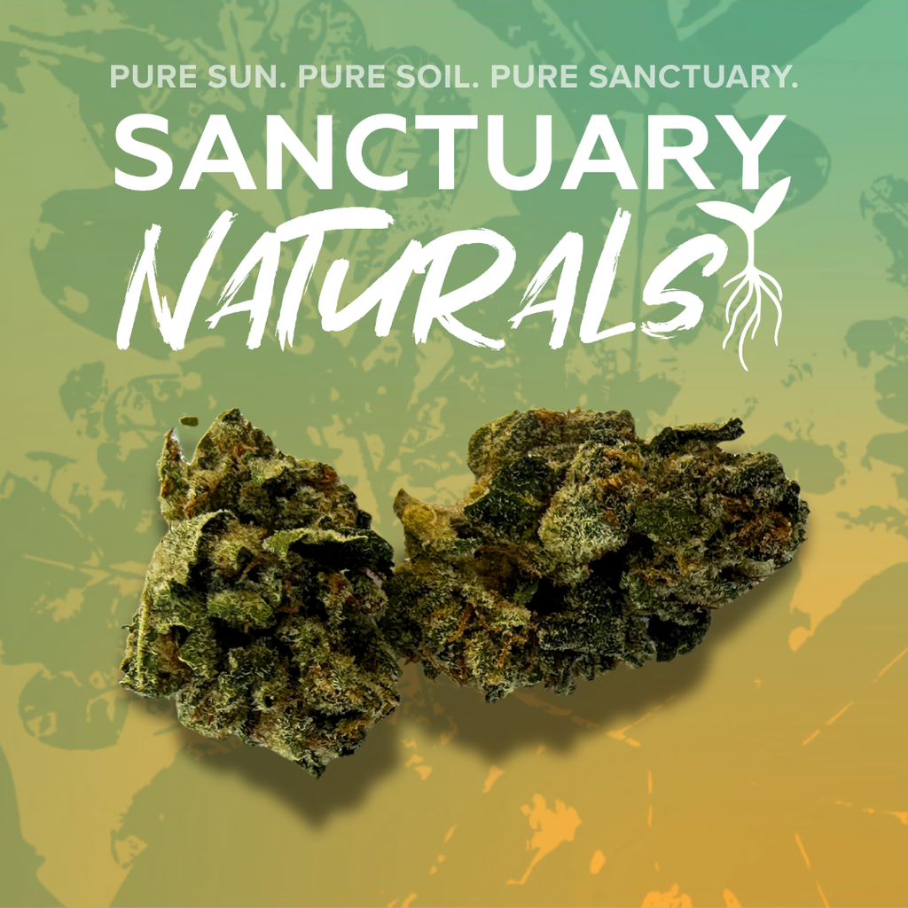 Sanctuary Naturals 3.5g Killer Bees