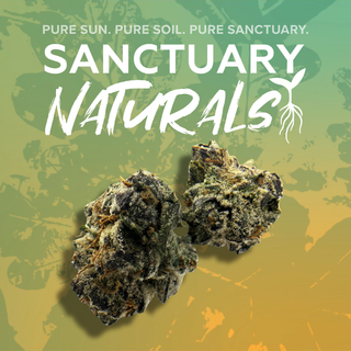 Cannabis Promo, Cannabis Sales, Cannabis Discounts, Cannabis on Sale, Naturals Flower $20 Each 1