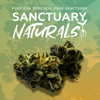Space Center Sanctuary Cannabis