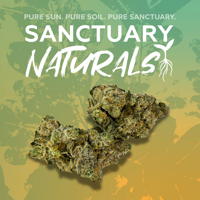 Strawnana Bread Sanctuary Cannabis