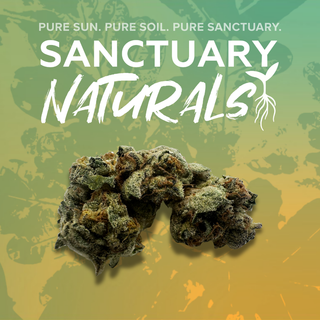 Zoap Sanctuary Cannabis