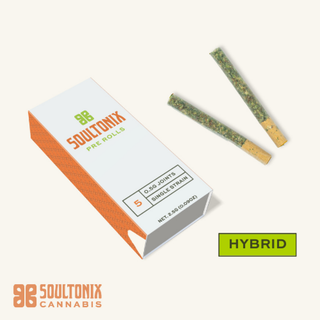 Gary Payton Soultonix