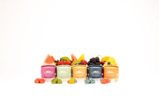 TasteBudz - Hybrid Taste Budz