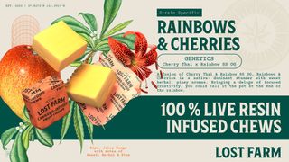 Mango x Rainbows and Cherries Lost Farm
