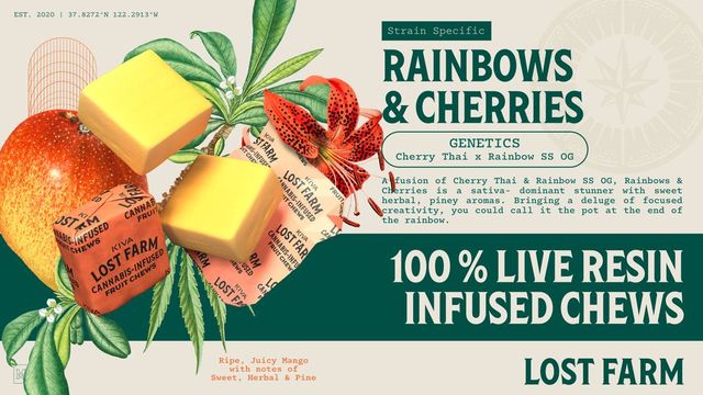 Mango x Rainbows and Cherries Lost Farm