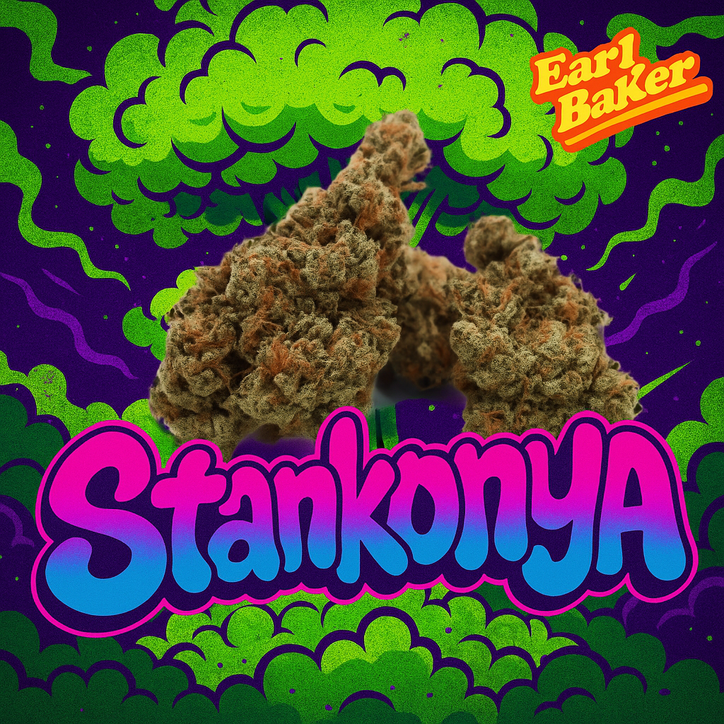 Stankonya