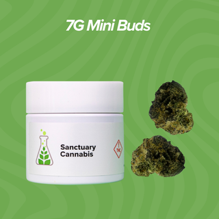 Animal Tsunami Sanctuary Cannabis