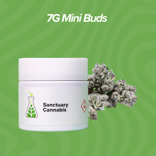Cannabis Promo, Cannabis Sales, Cannabis Discounts, Cannabis on Sale, 7g Mini Buds $28 Each 3