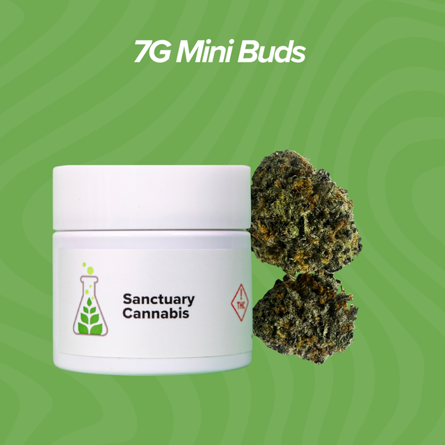 Rainbow Sherbert Sanctuary Cannabis