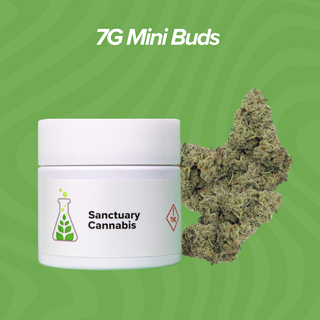 Space Center Sanctuary Cannabis