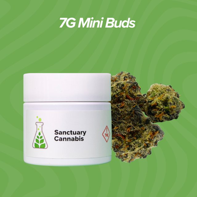 Super Sauce Sanctuary Cannabis