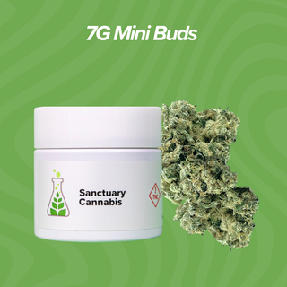 Unicorn Meat Sanctuary Cannabis