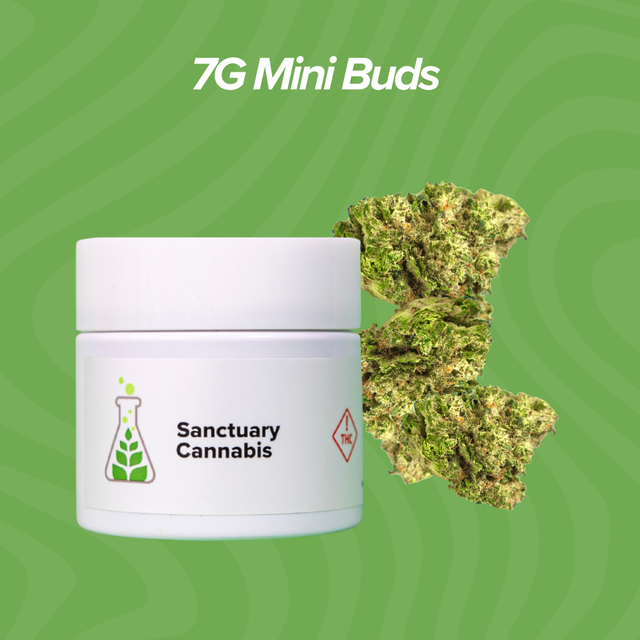 Wedding Mints Sanctuary Cannabis