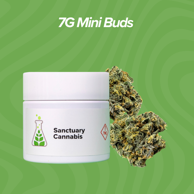 Zmints Sanctuary Cannabis