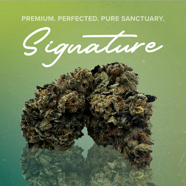 Alien Rock Sour Sanctuary Cannabis