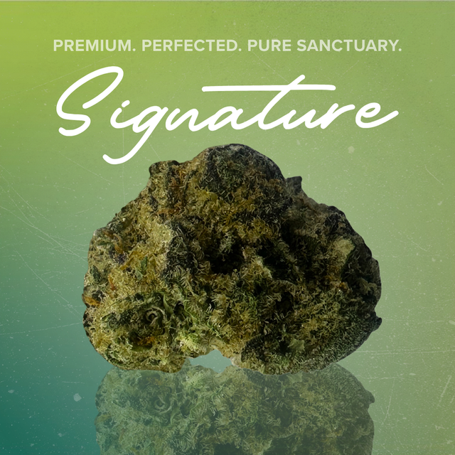 Animal Tsunami Sanctuary Cannabis