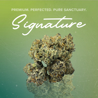 Gas Nana Sanctuary Cannabis